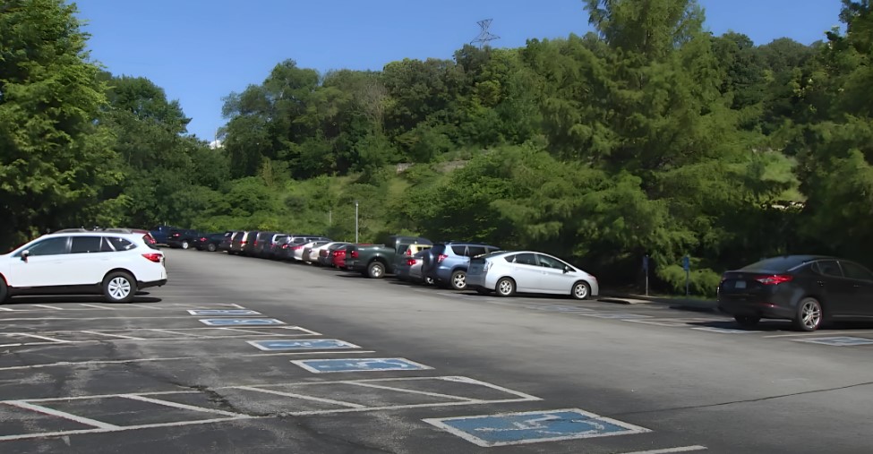 A parking lot stretches out beneath a canopy of lush green trees