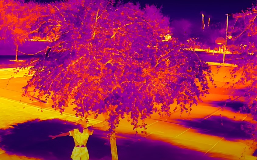 Thermal image of a person standing beneath a tree, showing variations in temperature